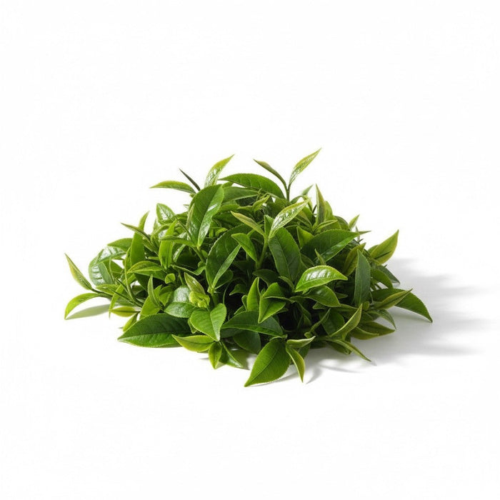The Story of Black Tea